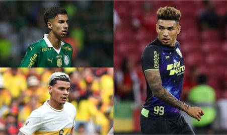 他对台湾篮 他对台湾篮