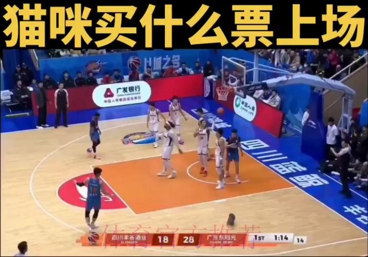 首节末段一只猫跑入球场,广东暂领先四川10分 首节末段一只猫跑入球场,广东暂领先四川10分